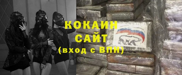 сатива Вяземский