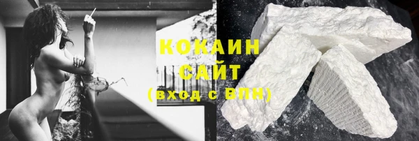 сатива Вяземский