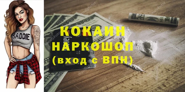 сатива Вяземский