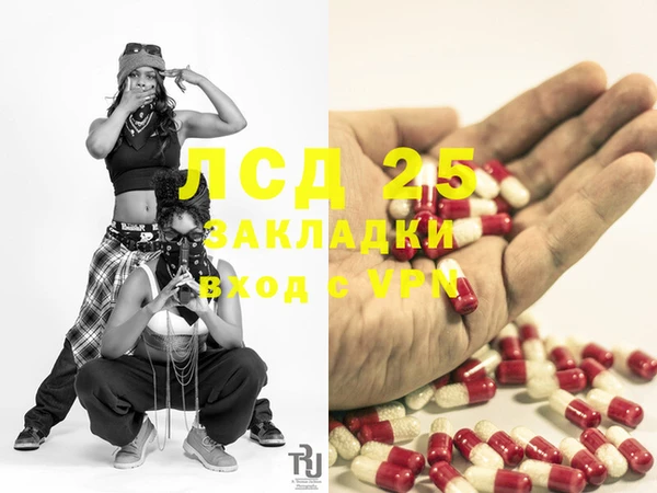 сатива Вяземский