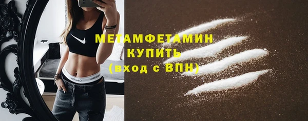 сатива Вяземский
