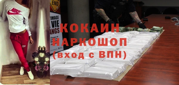 сатива Вяземский