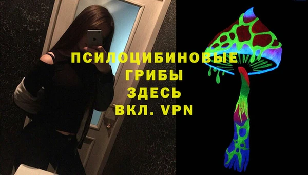 сатива Вяземский