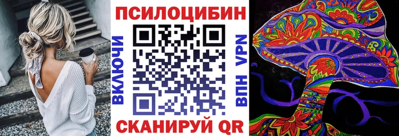 Псилоцибиновые грибы мицелий  мориарти формула  Елец  где купить наркоту 