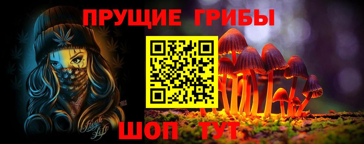 Елец  сколько стоит  Вход с VPN  Псилоцибиновые грибы ЛСД 