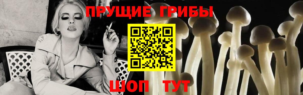 Галлюциногенные грибы мицелий Елец